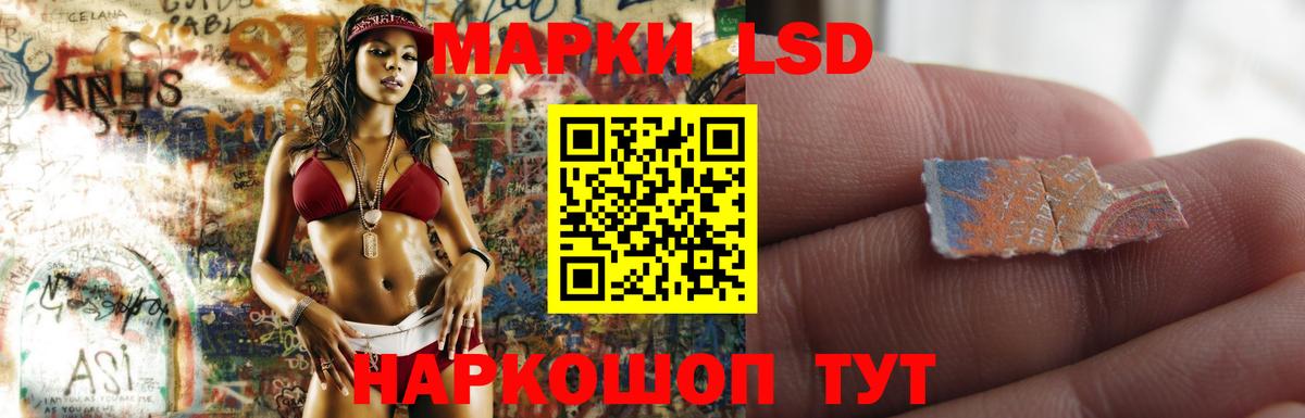 hydra ссылки  Вход с VPN  Заводоуковск  LSD-25 экстази ecstasy 