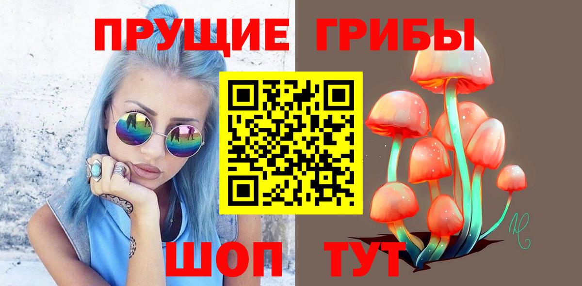 Галлюциногенные грибы мицелий  Вход с VPN  Заводоуковск 